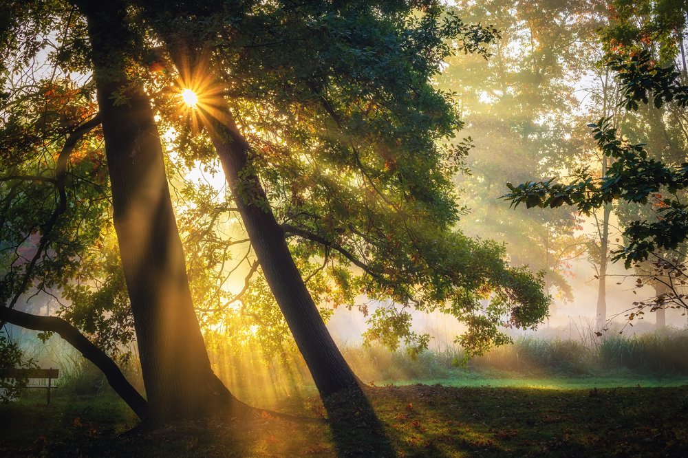 Photograph by Андрей Ожерельев