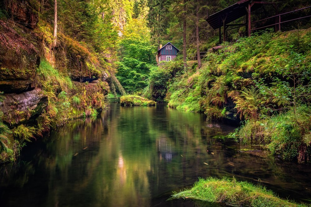 Домик лесника.