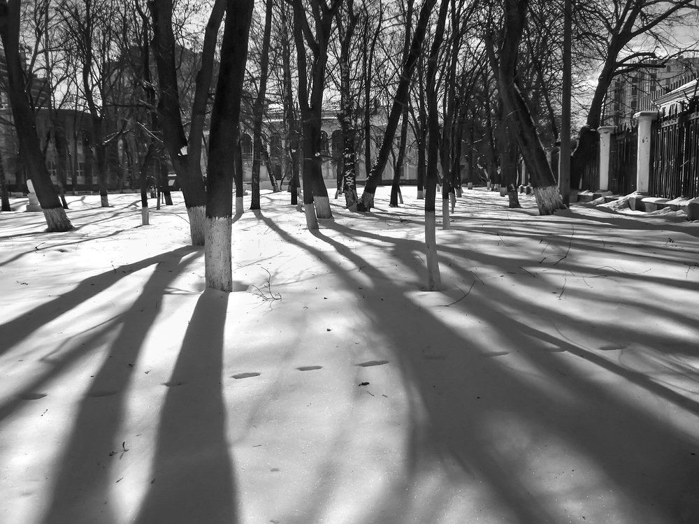 Photograph by Наталья Коньшина