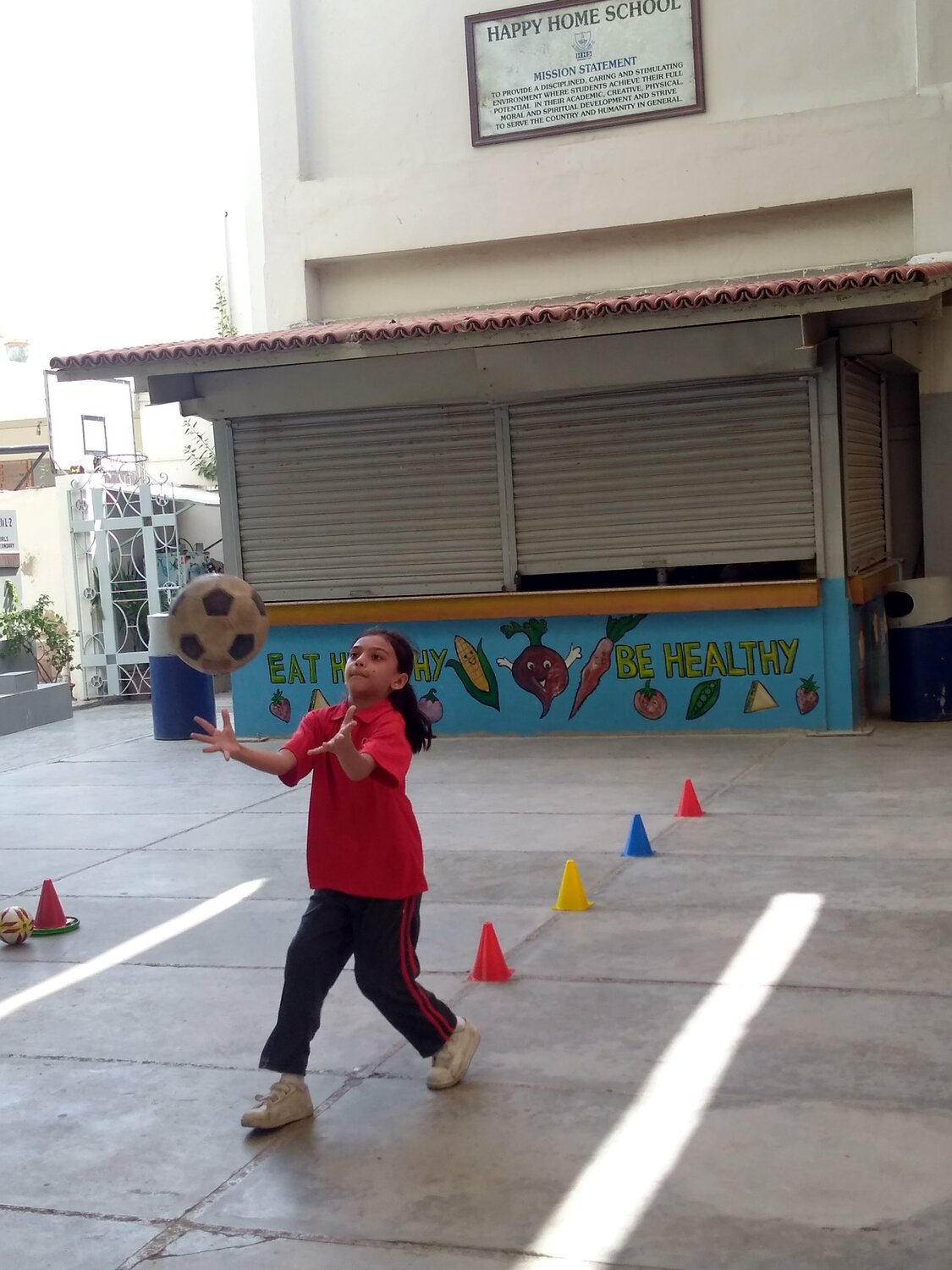 Photo #4208232