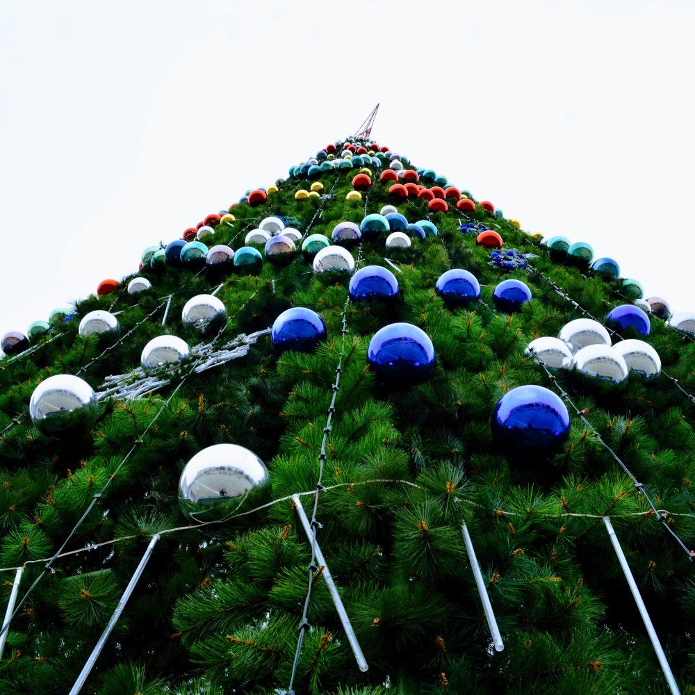 Photograph by Мхитарян Карен