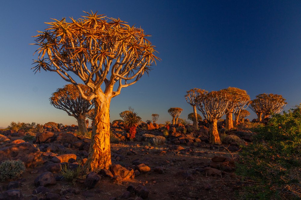 Photograph by Слащилина Нина