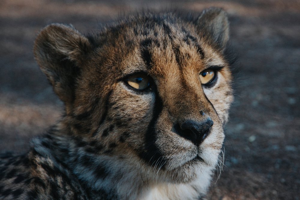 Photograph by Слащилина Нина