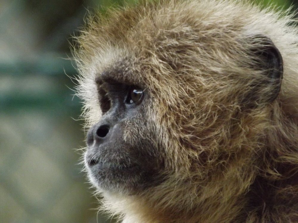 Photograph by CESAR IZARRA