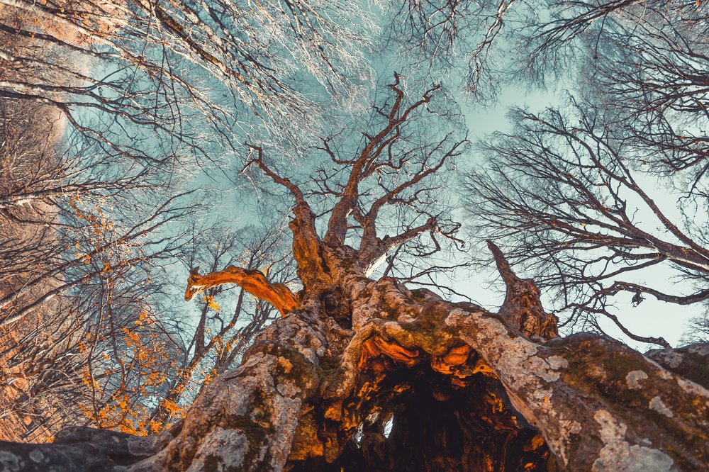 Photograph by Андрей Муравин