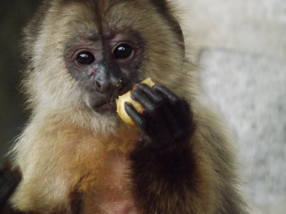 Photograph by CESAR IZARRA