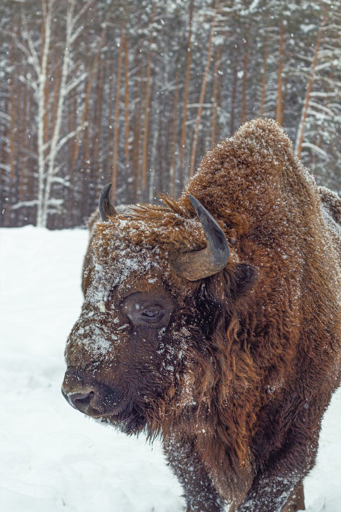 Photograph by Дмитрий Чудинин