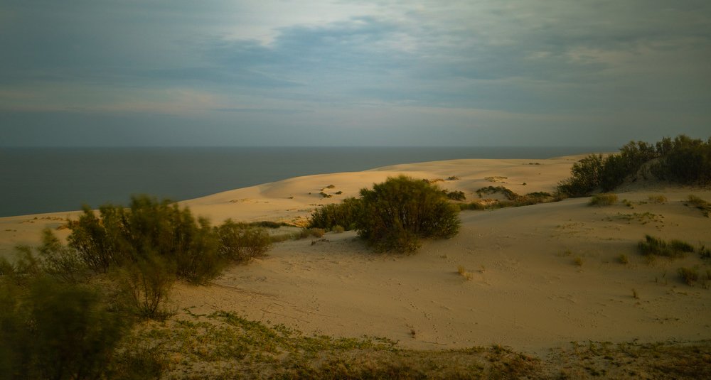 Photograph by Александр Дроздов