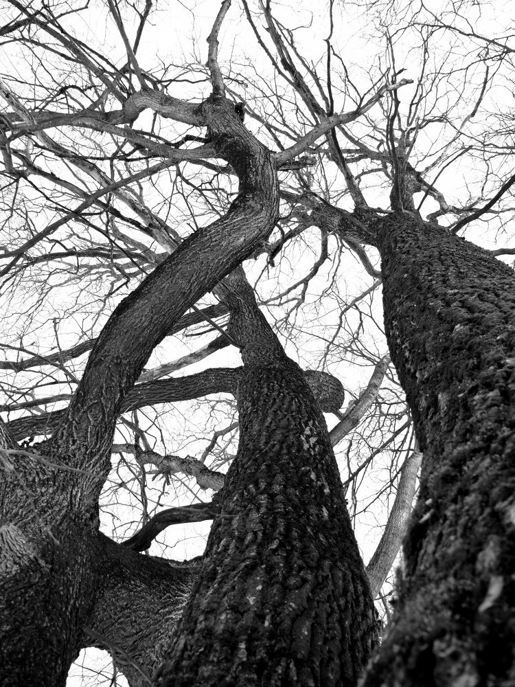 Photograph by Юрий Филицкий