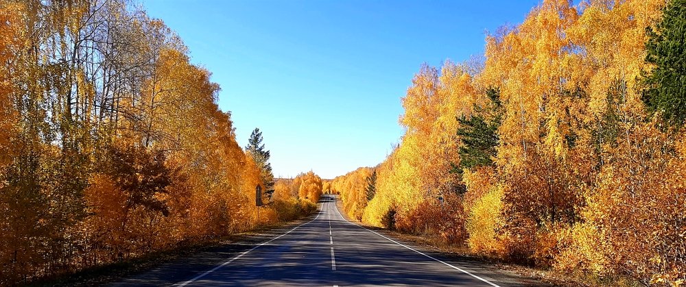 Photograph by Sergey Petrov