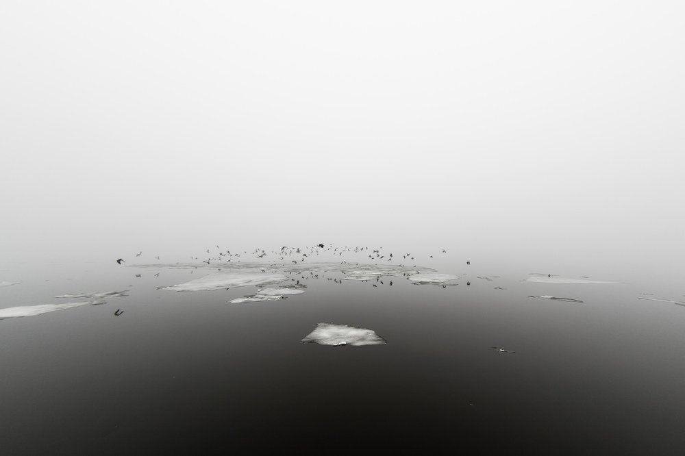 Photograph by Игорь Соловьев