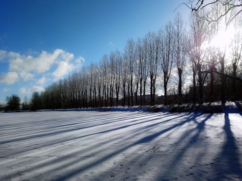 Фотография автора Александр Далла
