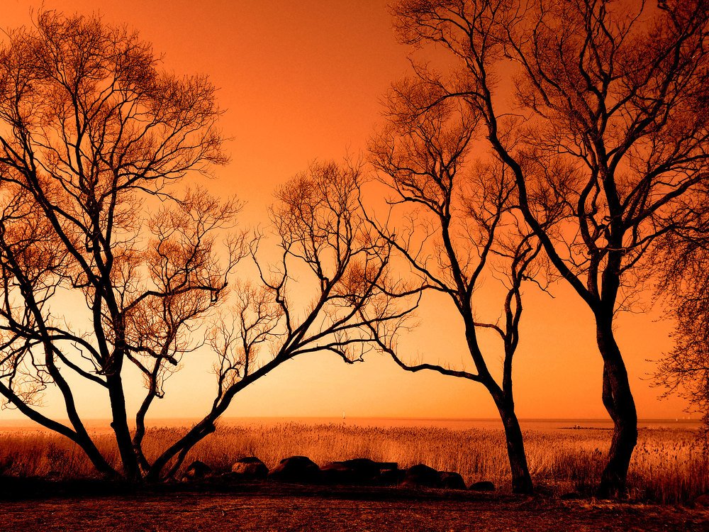 Фотография автора Александр Далла