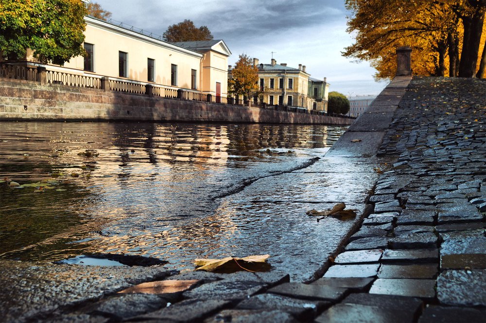 Фотография автора Александр Далла