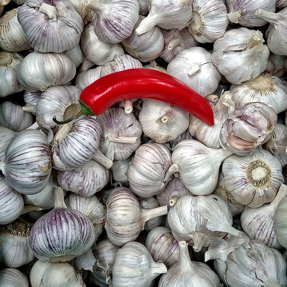 Фотография автора Александр Далла