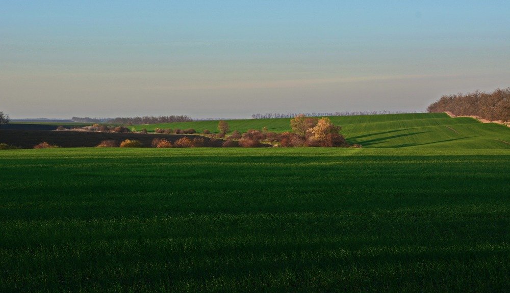 Осеннее поле