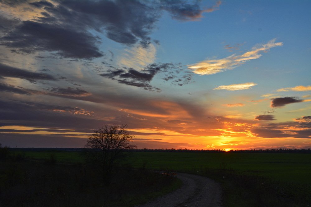 Палитра заката