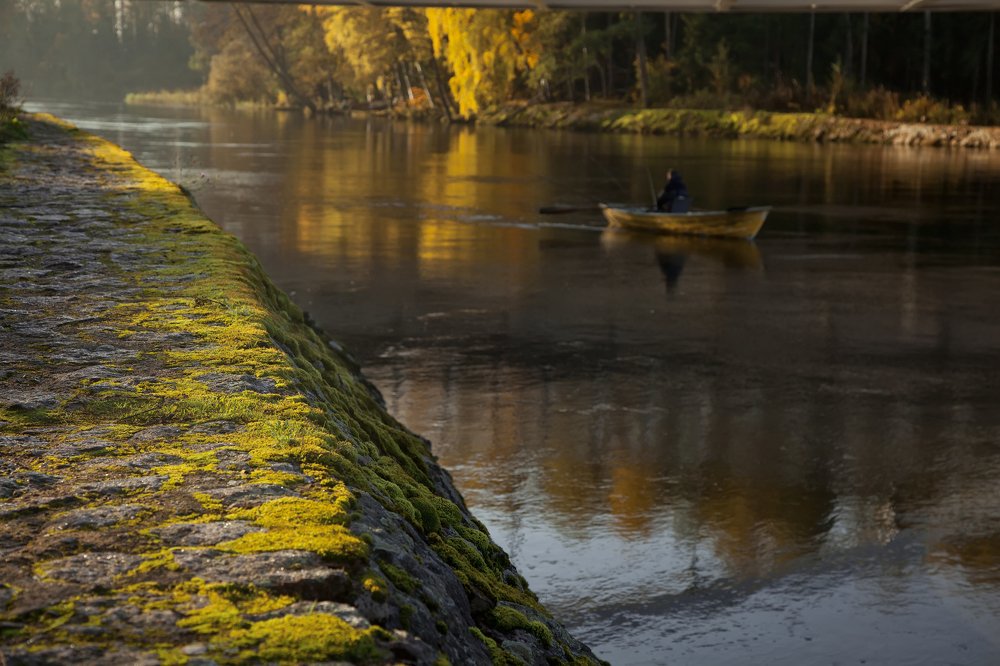 Photograph by Яна Сергеевна Зимина