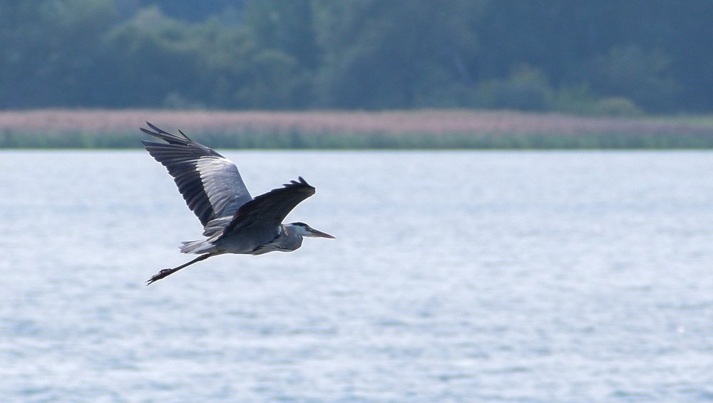 Photograph by Ярослав Думчев