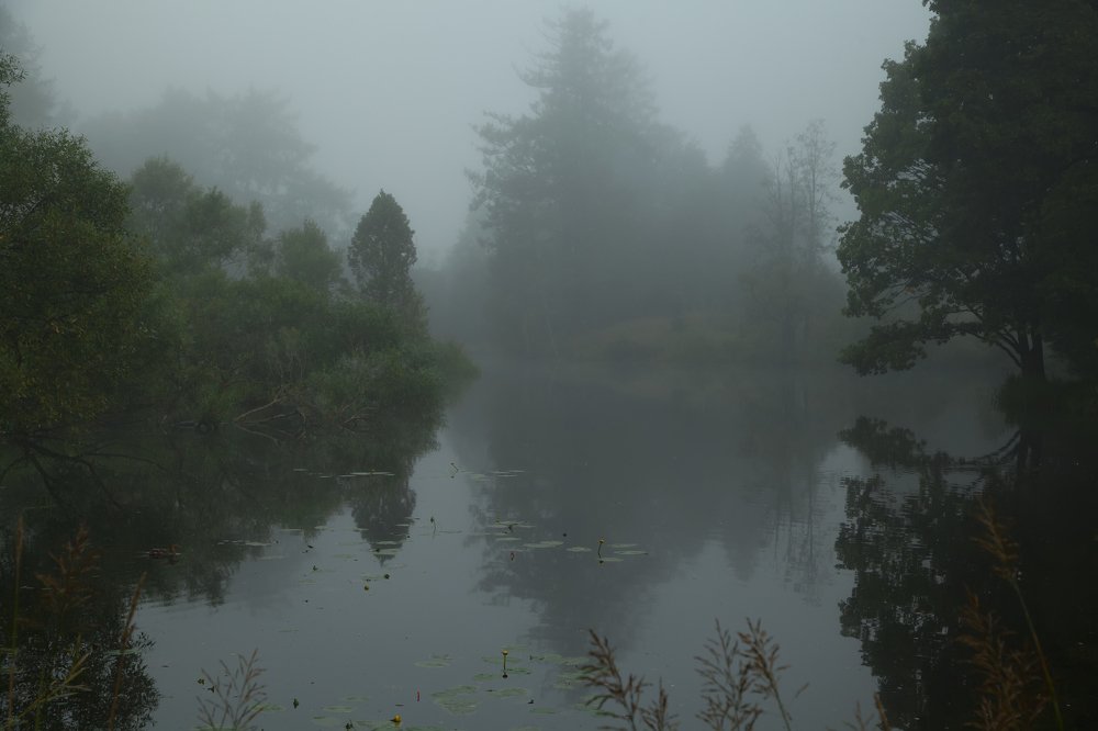 Photograph by Яна Сергеевна Зимина