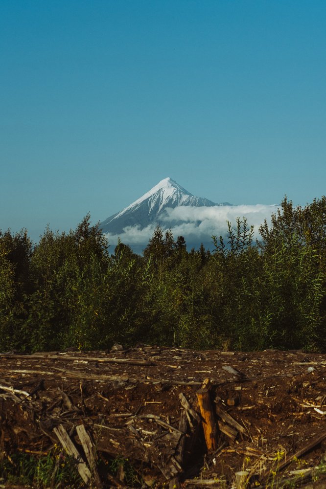 Photograph by Мария Янковская