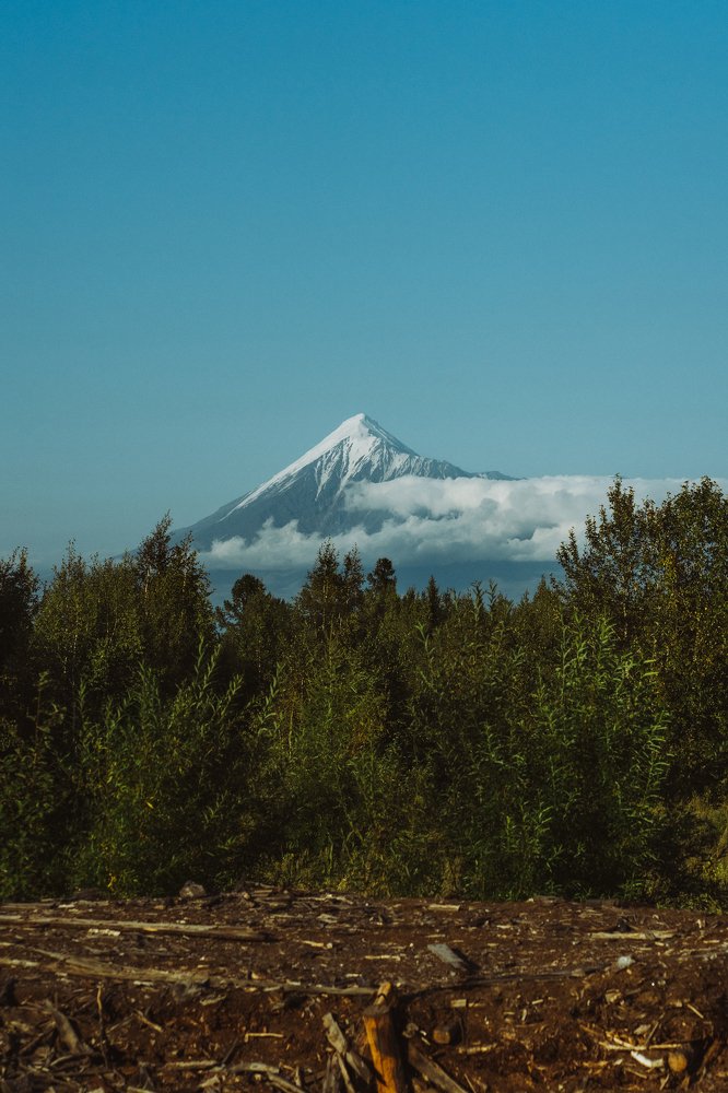 Photograph by Мария Янковская