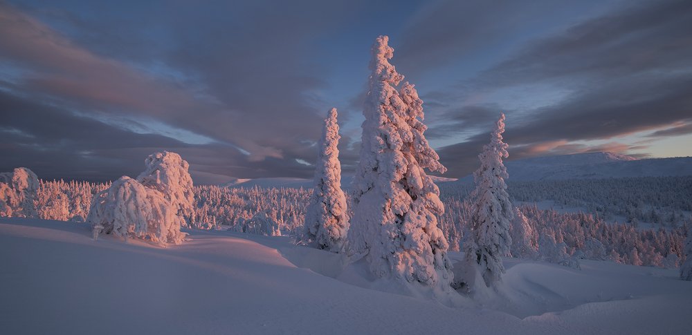 Photograph by Владислав Костылев