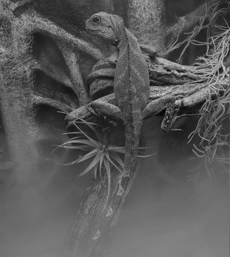 Photograph by Сергей Лобозов