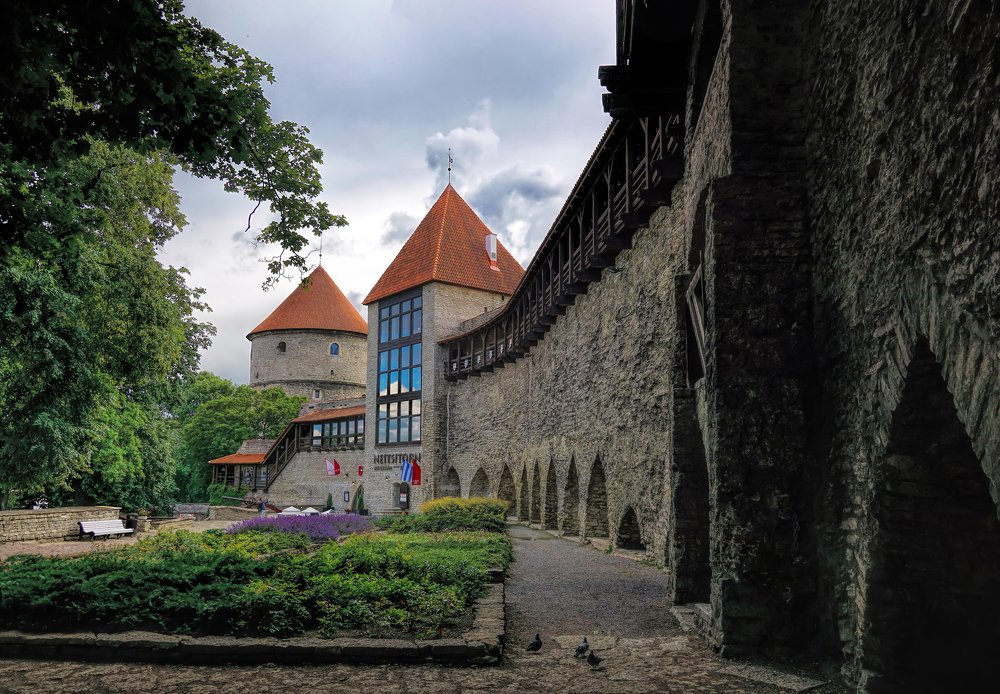 The fortress wall of medieval Tallinn. Estonia.