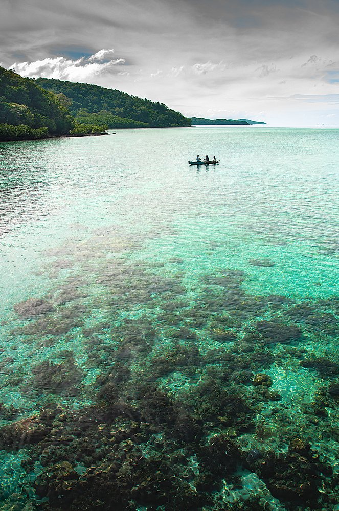 Coral sea