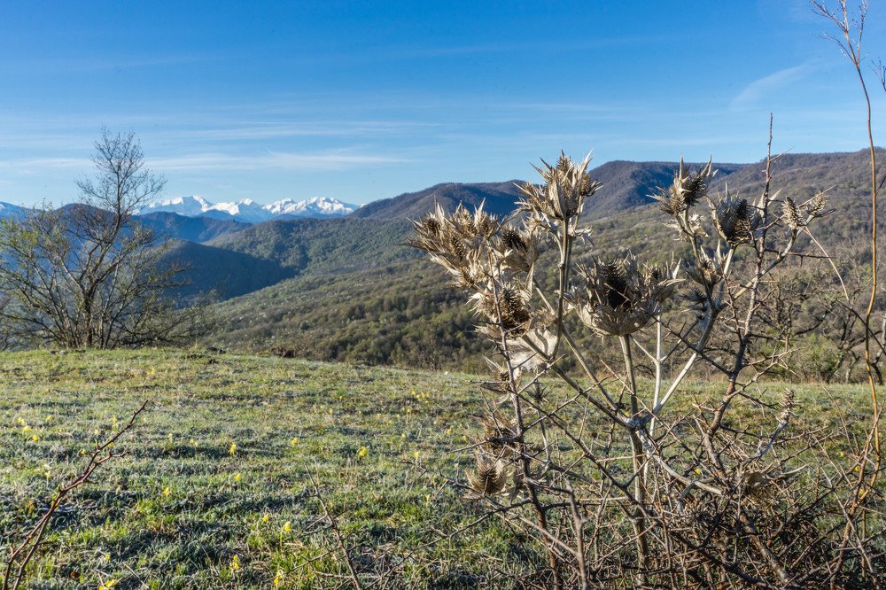 Photograph by Надежда