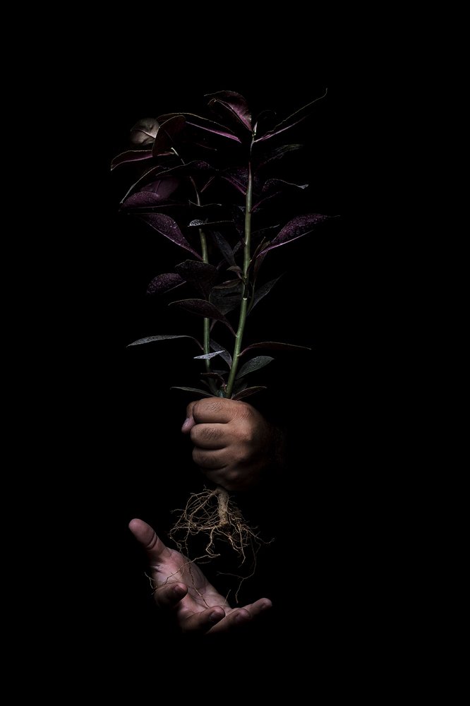 Photograph by hesamadin bagheri