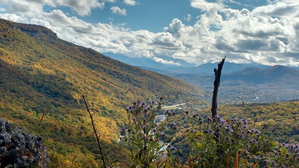 Photograph by Надежда