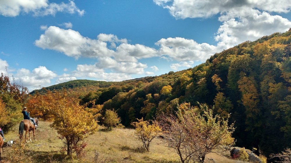 Photograph by Надежда