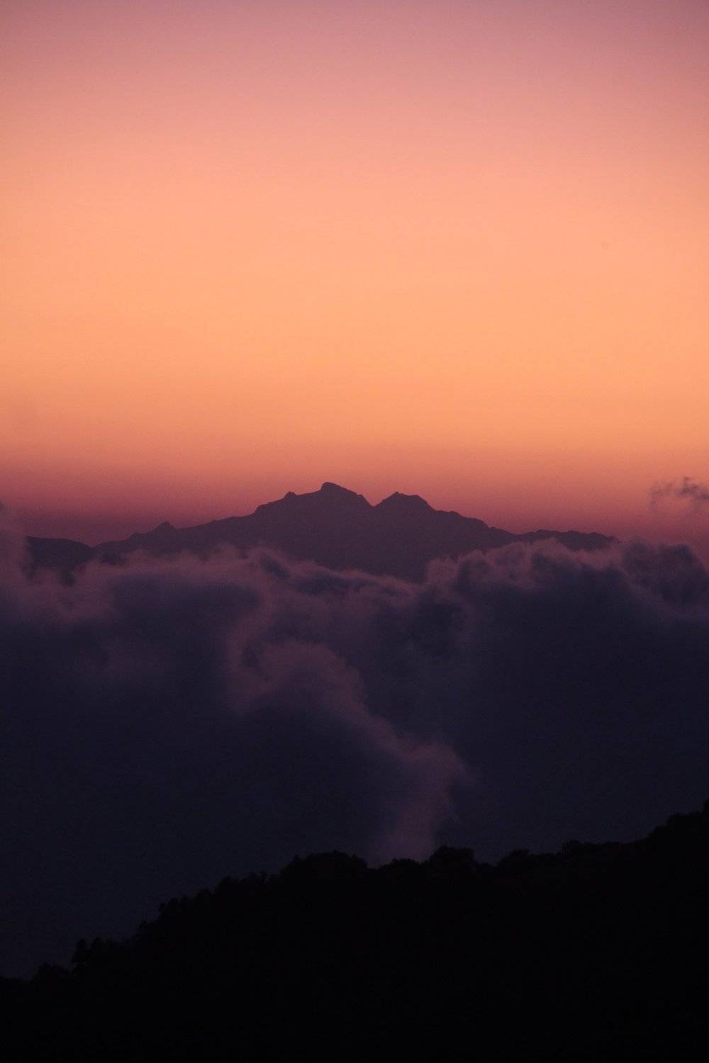 Photo #4209022