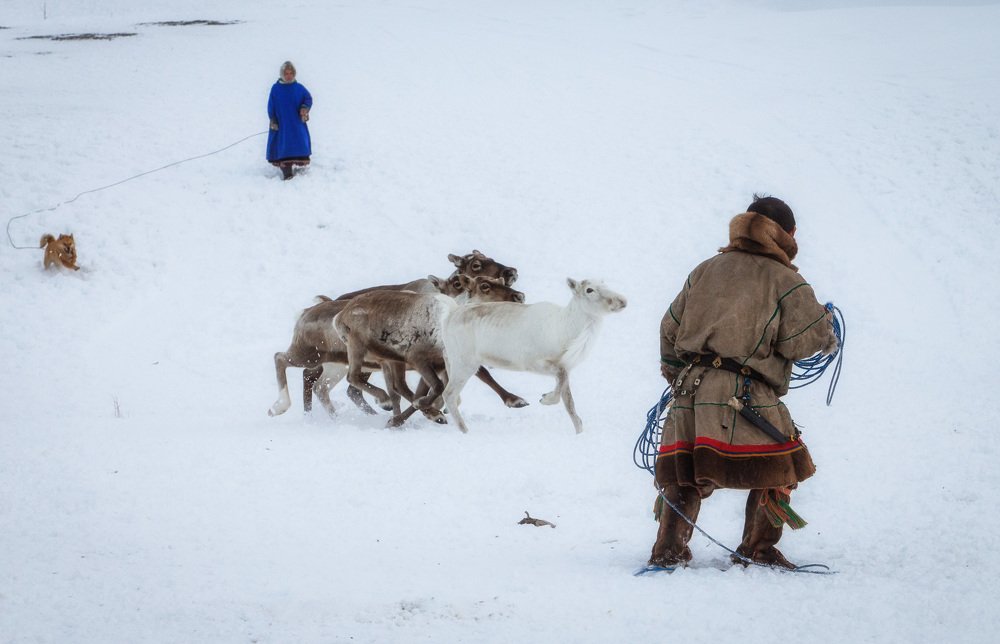 Photograph by Alfia Safuanova