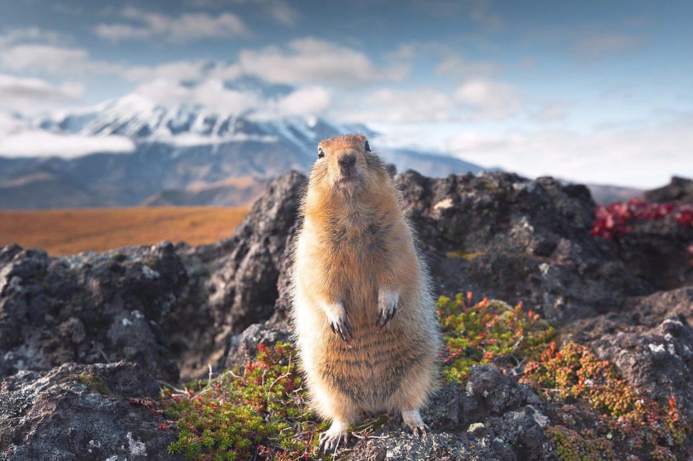 Photograph by Егор