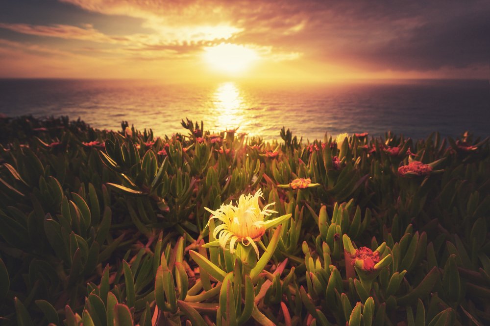 Photograph by Егор