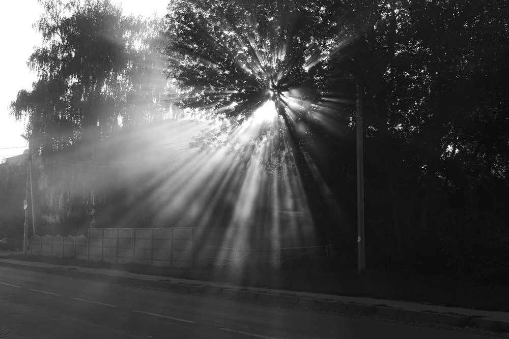 Лучезарные сумерки