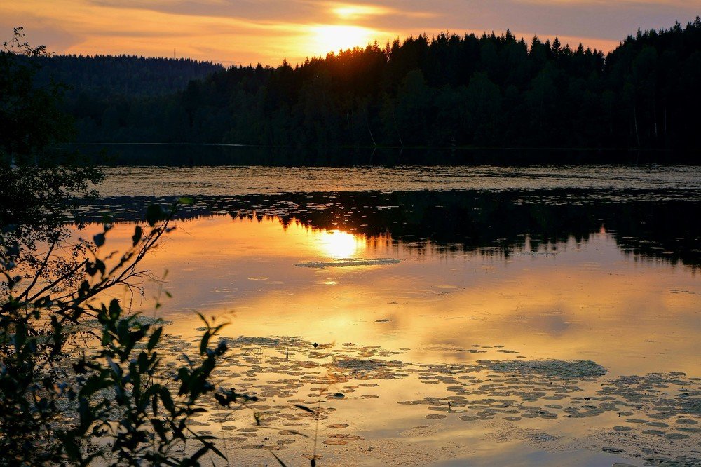 Photograph by Елена Шмарловская