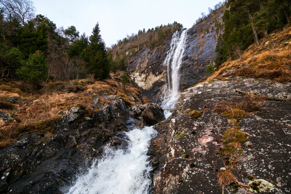 Photograph by Денис Жигалов