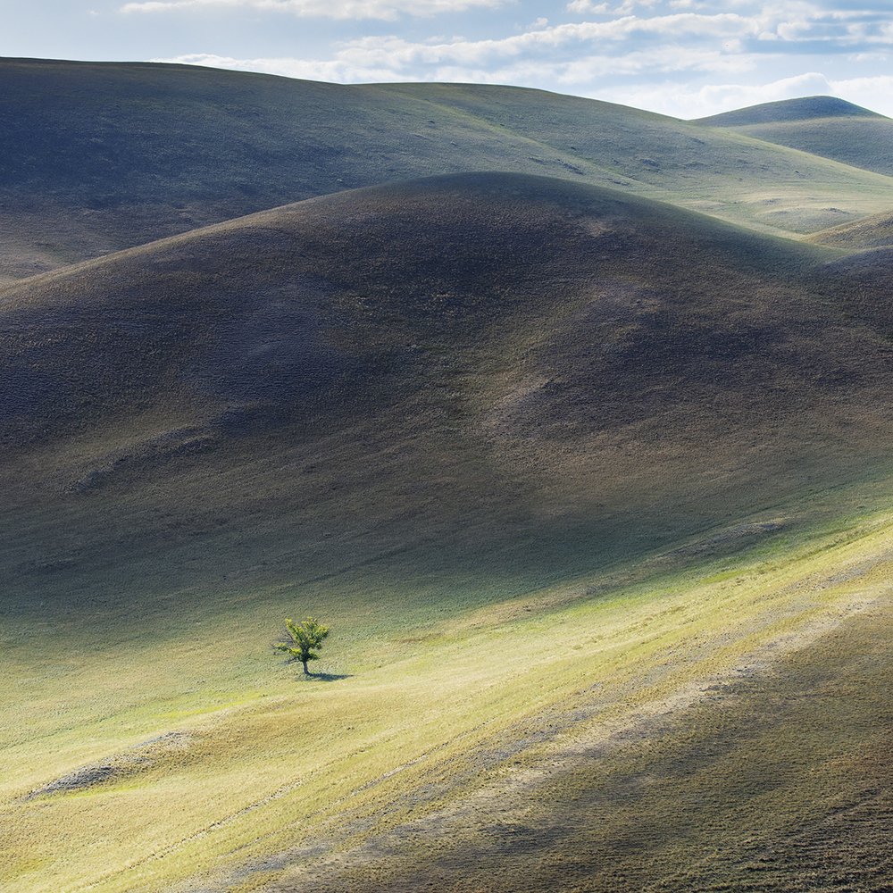 Photograph by Дмитрий Симбаев