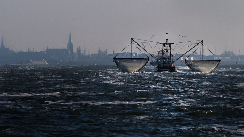 Photograph by Andrei Nicuta