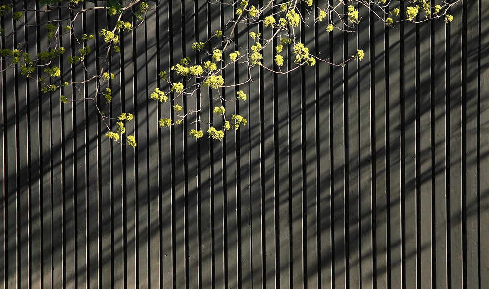 Фотография автора Юрий