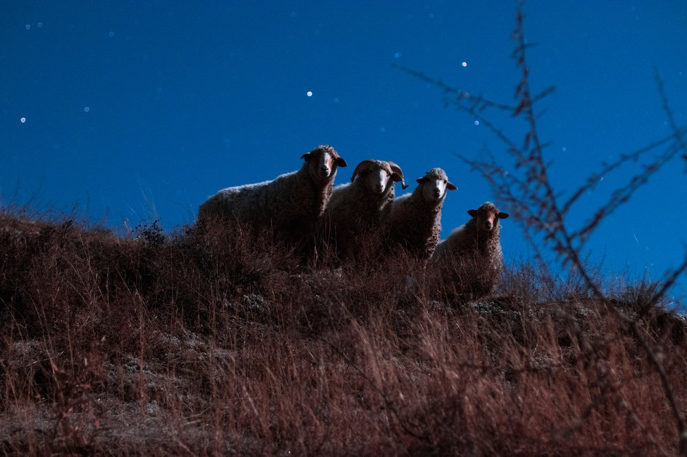 Photograph by Лучший в мире