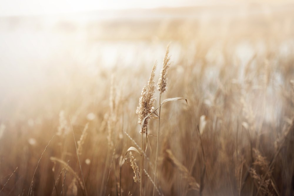 Photograph by Daria Tarasova