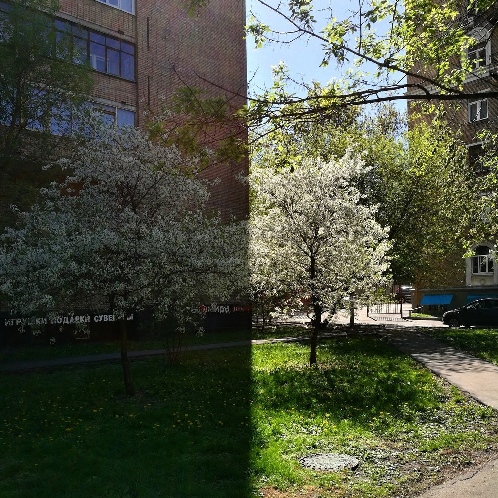 Photograph by Максим Захаров