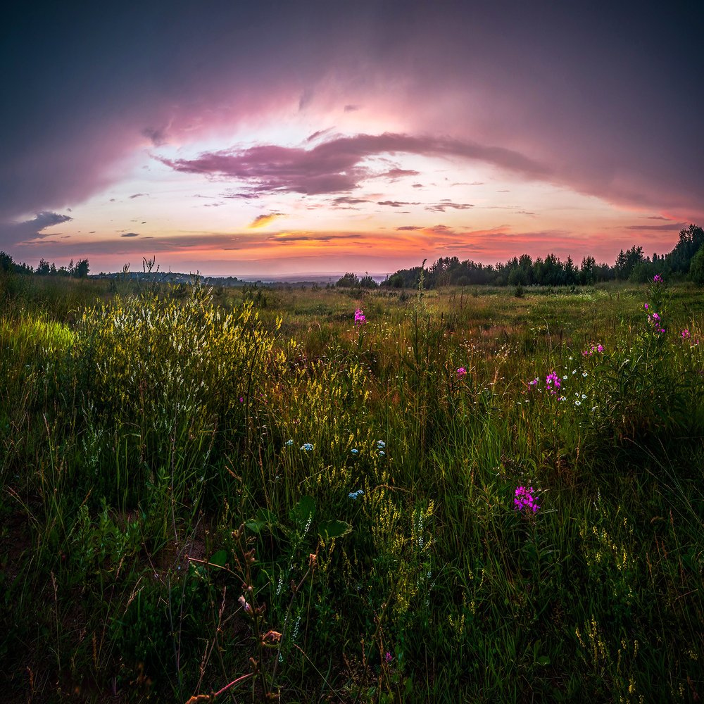Фотография автора Панагушин Сергей