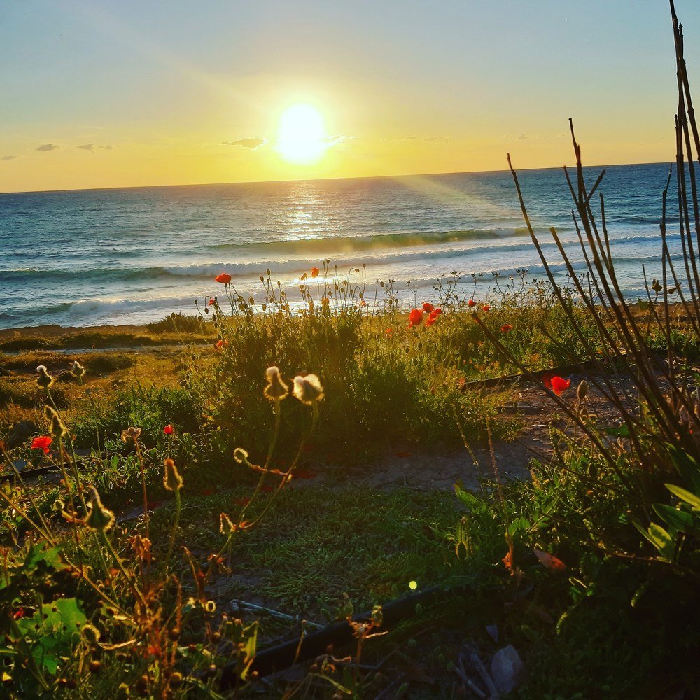 Photograph by Irena TURČINSKAJA