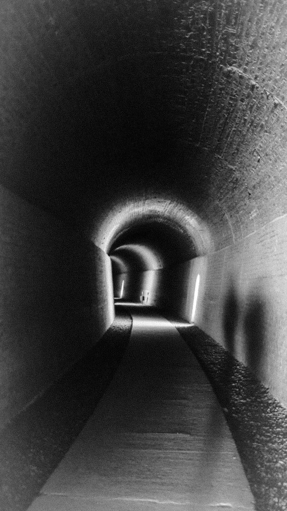 Photograph by Karina Elena Bergagna